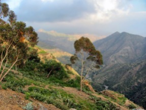 Eritrean mountains