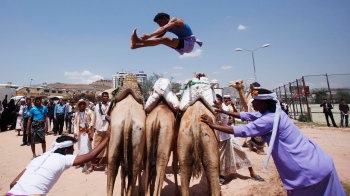 Camel jumping