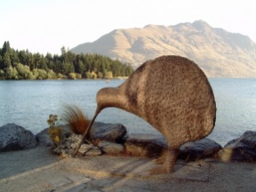 Kiwi bird statue